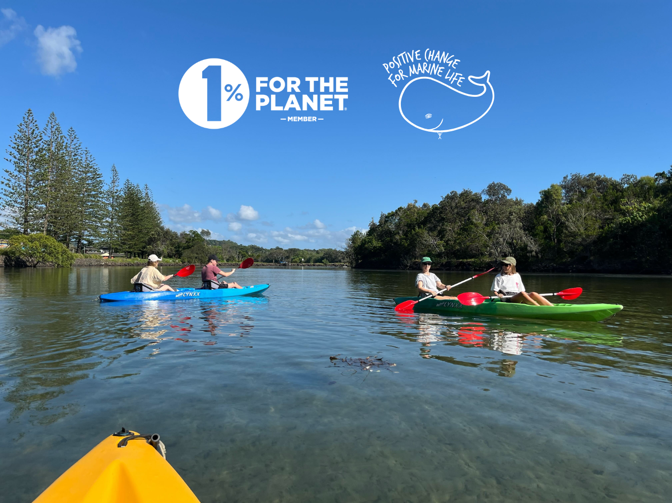 Supporting Positive Change for Marine Life