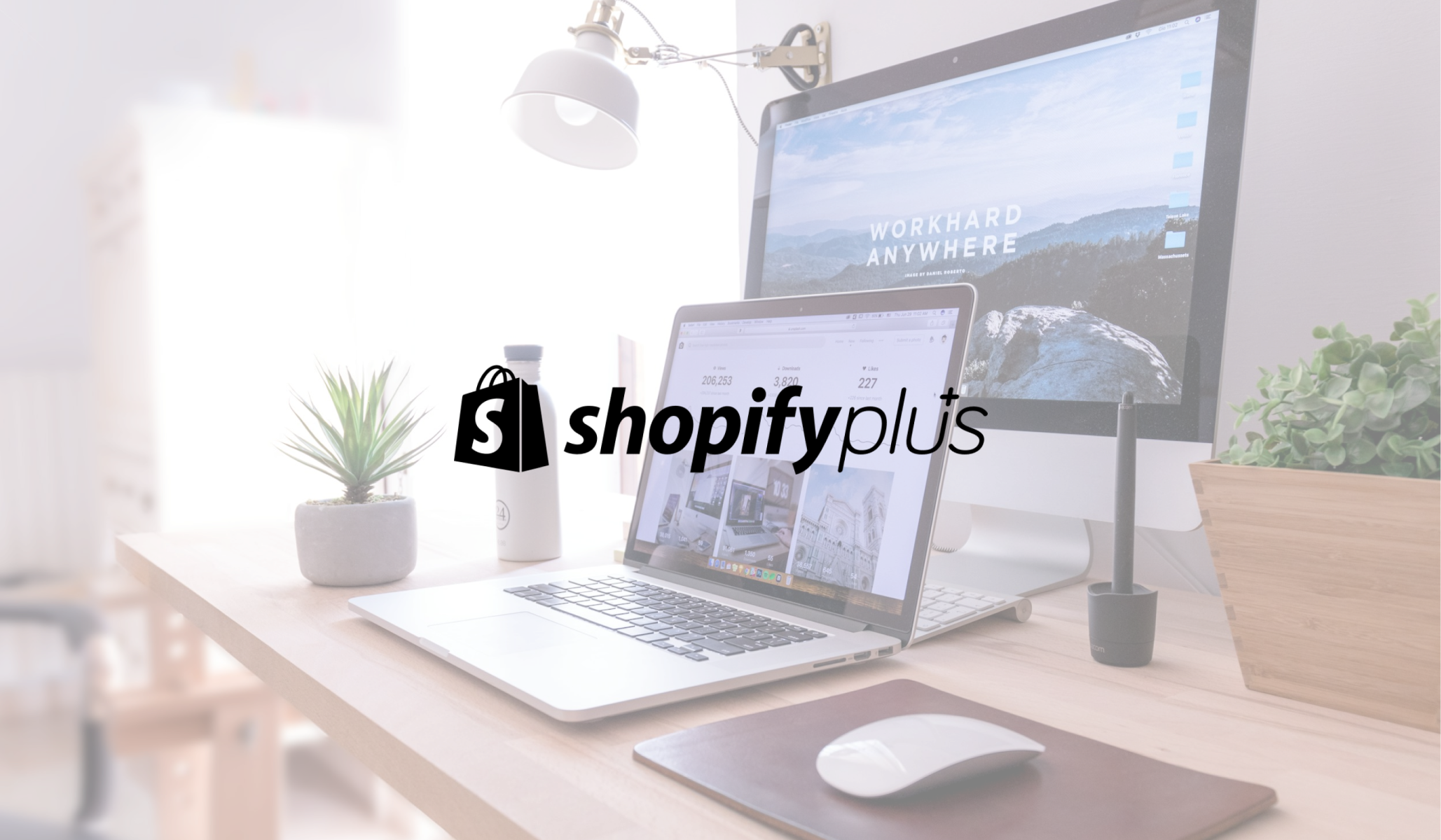 Are you getting the most out of your Shopify Plus?