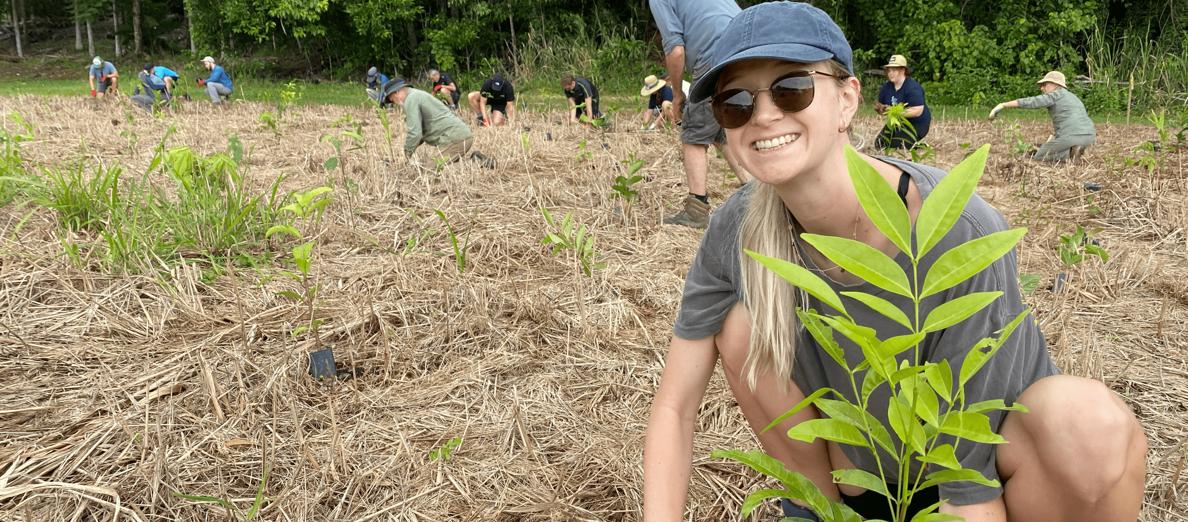 Team Trip replanting the Daintree Rainforest with Rainforest Rescue